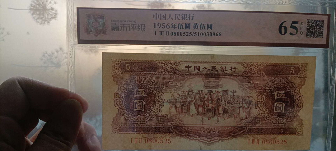 钱币杂项，AI自动截拍 黄五元