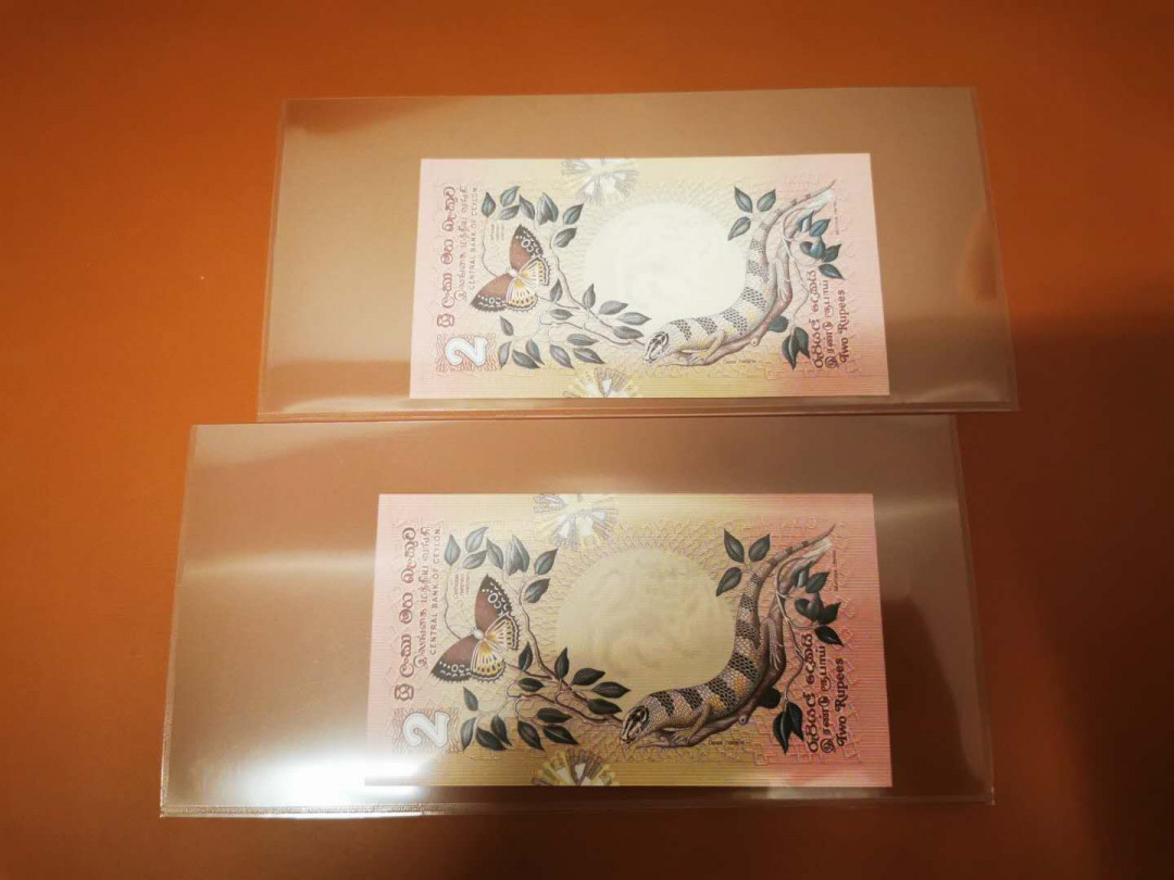 【鲸贝乐淘★自动结拍】千字文·第“渠荷的历，园莽抽条”号拍卖，两拍包邮 【锡兰】小红鱼两张连号，全新全品UNC 