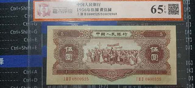 钱币杂项，AI自动截拍 - 黄五元