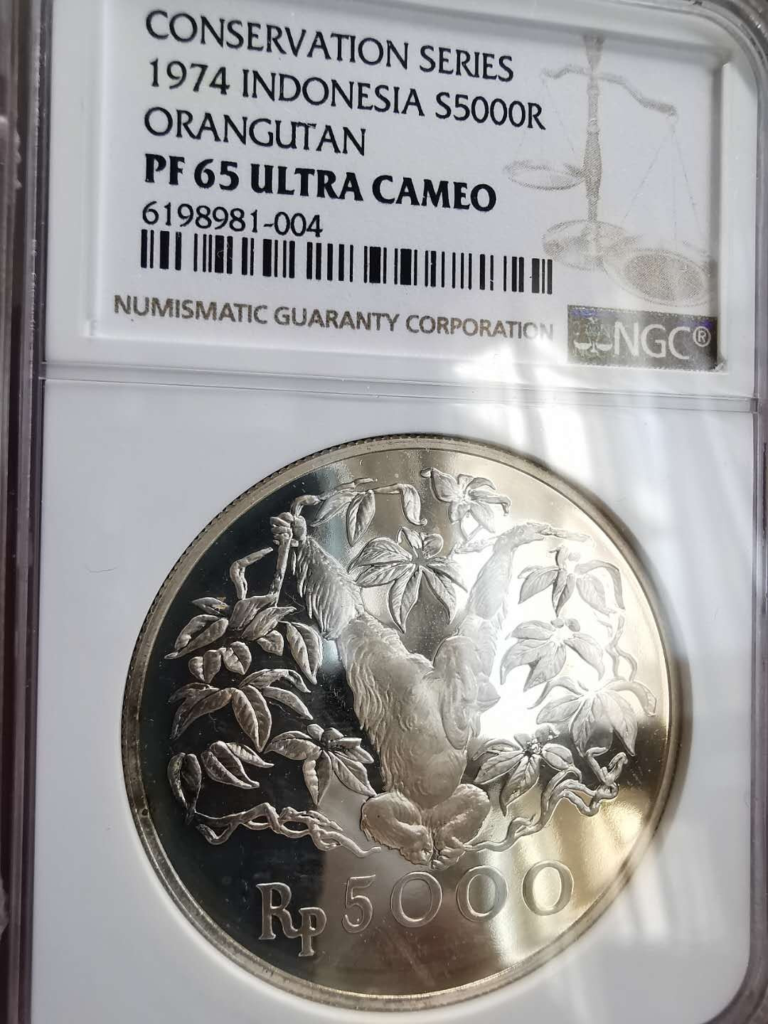 凡希社世界钱币微拍第一百六十四期 1974印度尼西亚红毛猩猩5000R大银NGC-PF65UC