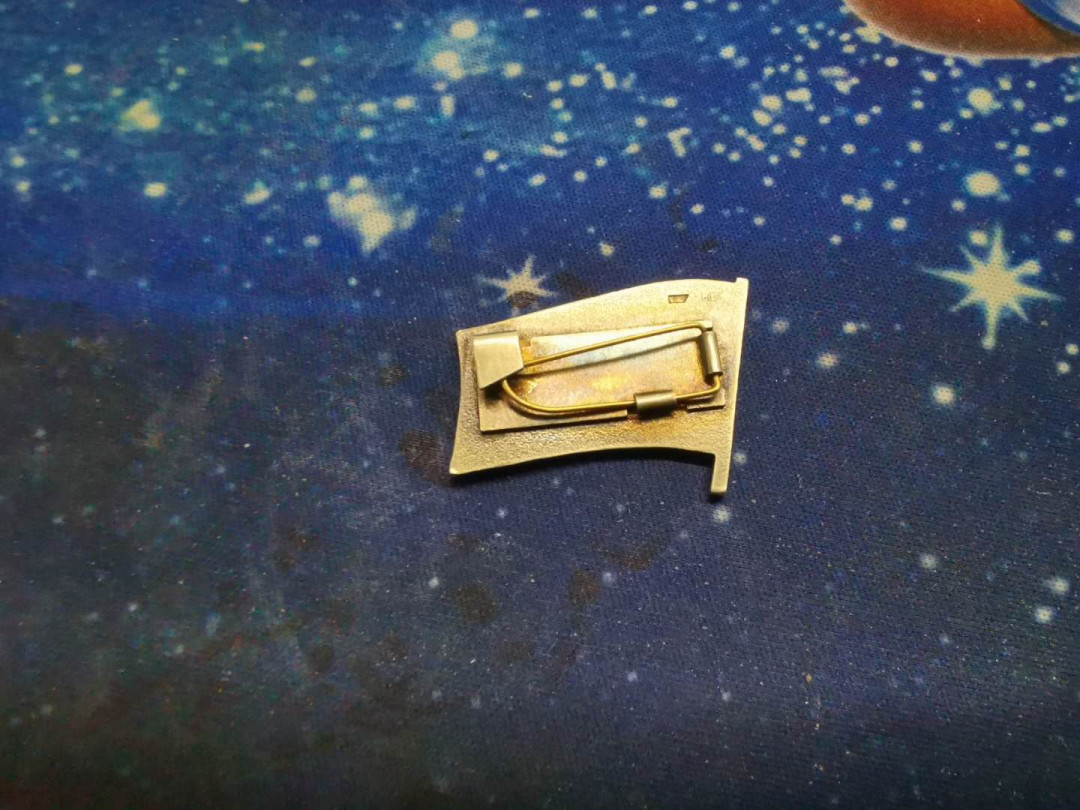 苏联勋章拍卖八月第一期 11.苏联代表证 爱沙尼亚银