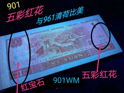 【雪鹰藏品】第30期∥901”映山红”专场：“满山开遍映山红”，五彩红花（堪与961清荷比美）
