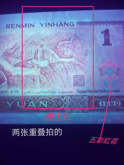 【雪鹰藏品】第30期∥901”映山红”专场：“满山开遍映山红”，五彩红花（堪与961清荷比美）