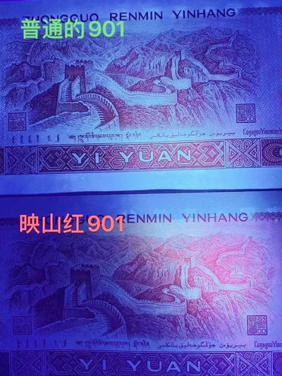 【雪鹰藏品】第30期∥901”映山红”专场：“满山开遍映山红”，五彩红花（堪与961清荷比美）