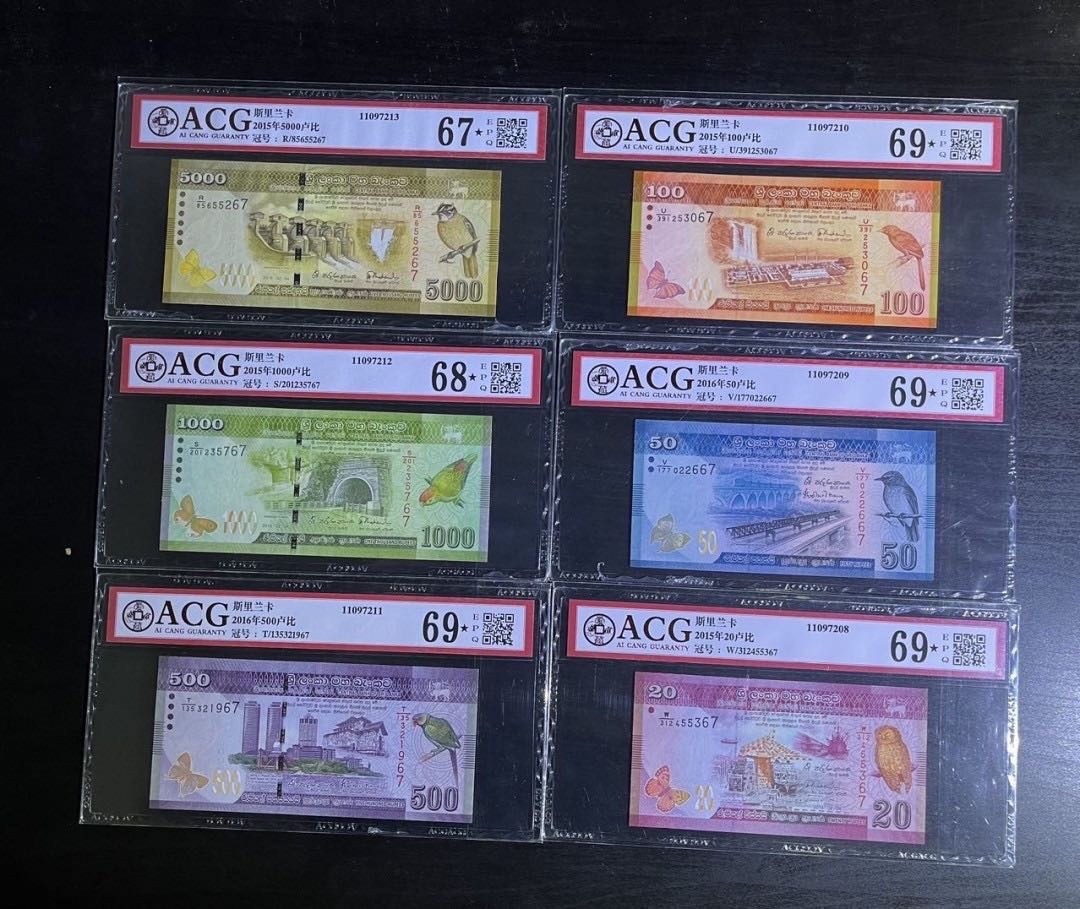 【丑猫0822】今晚7点整开拍 斯里兰卡鸟(整套★标、尾2同)