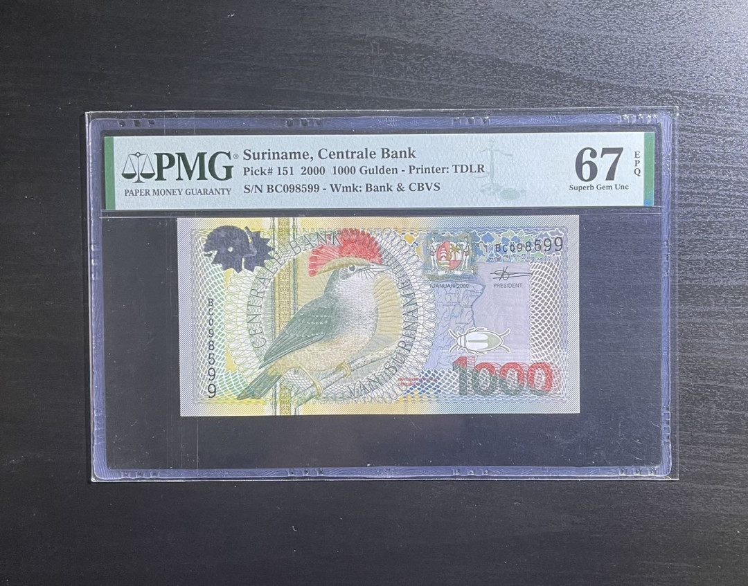 【丑猫0822】今晚7点整开拍 2000年苏里南(王霸鹟-高分无47)