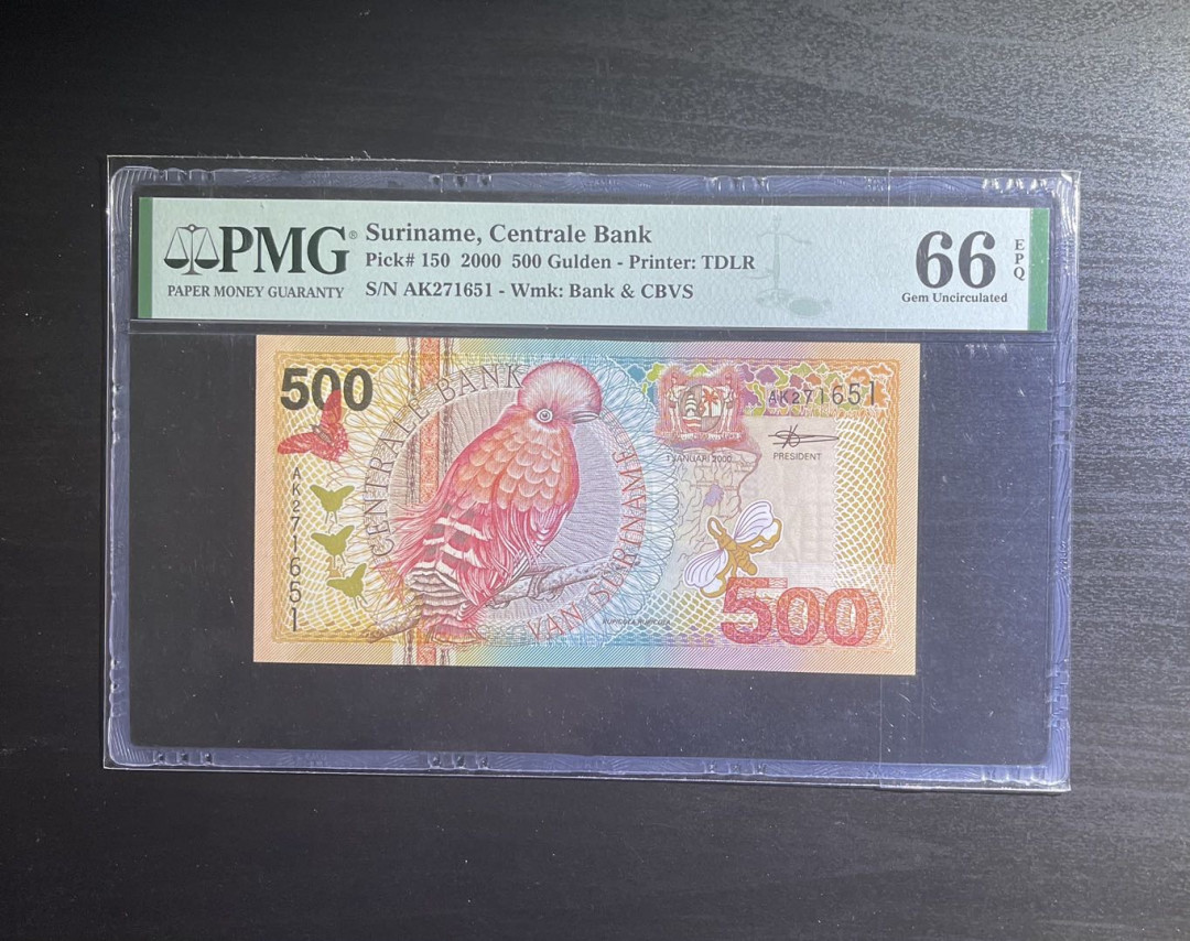 【丑猫0822】今晚7点整开拍 苏里南500元(岩石鸡)