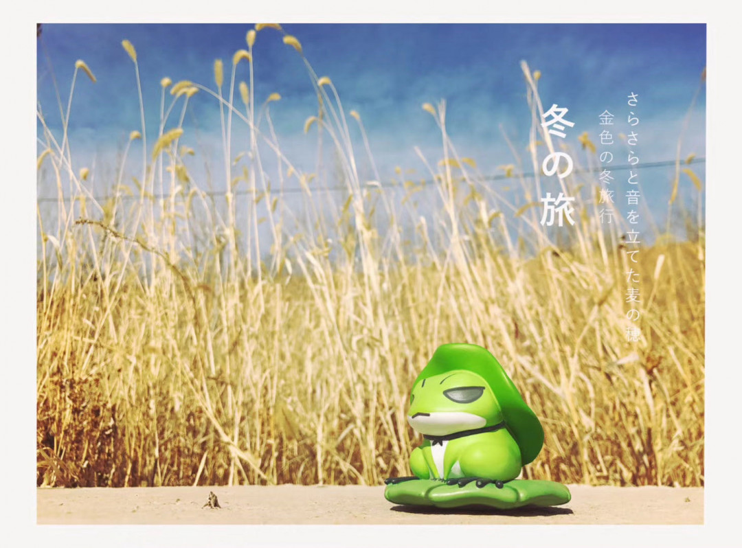 零元拍：搪胶 旅行青蛙 手办，随盒还送一张旅行小卡片，全新未拆。