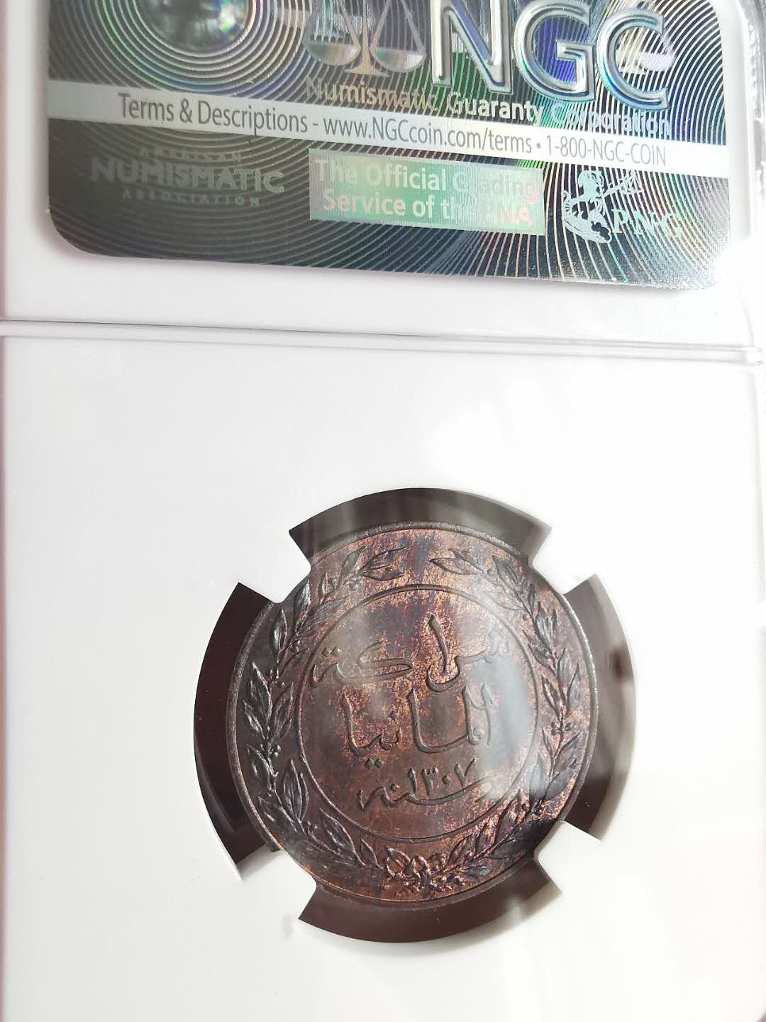 凡希社世界钱币微拍第一百六十八期 1890徳属东非PESA铜币NGC-MS65