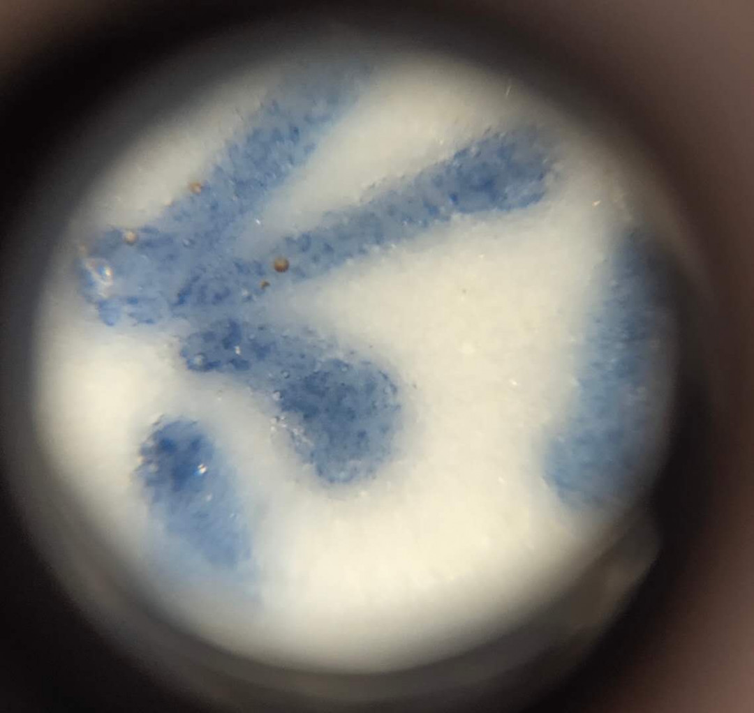 N&C 第十四期: 大杂烩