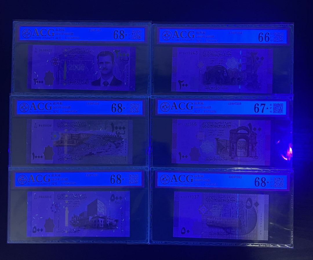 【丑猫0905】今晚七点整，快拍 2009版叙利亚一套(含巴沙尔)