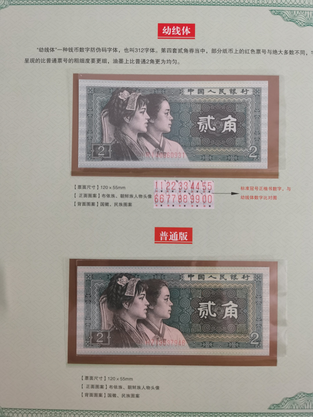 晨芳霖冠号收藏第一期拍卖 8002错版、版别与鉴赏