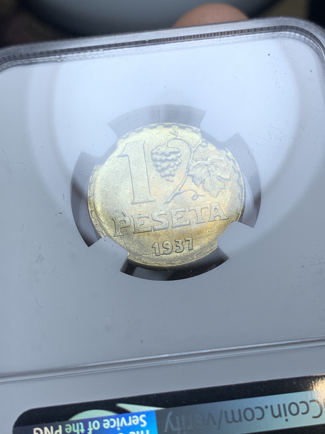 《竞宝斋》钱币微拍-第4场（0佣金包邮） NGC-MS65 西班牙1937年 内战女人头1比塞塔 铜币 冠军分