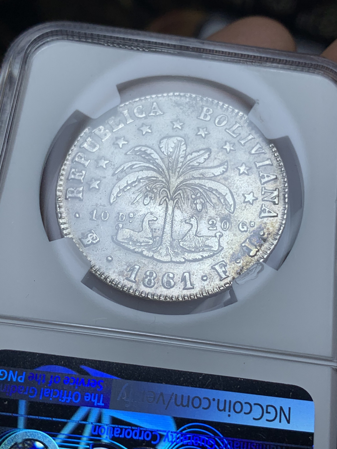 《竞宝斋》钱币微拍-第4场（0佣金包邮） NGC-XF 玻利维亚1861年 8S 草泥马银币