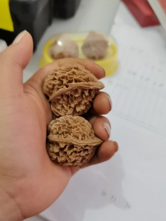 文玩核桃，满天星异型半壁江山