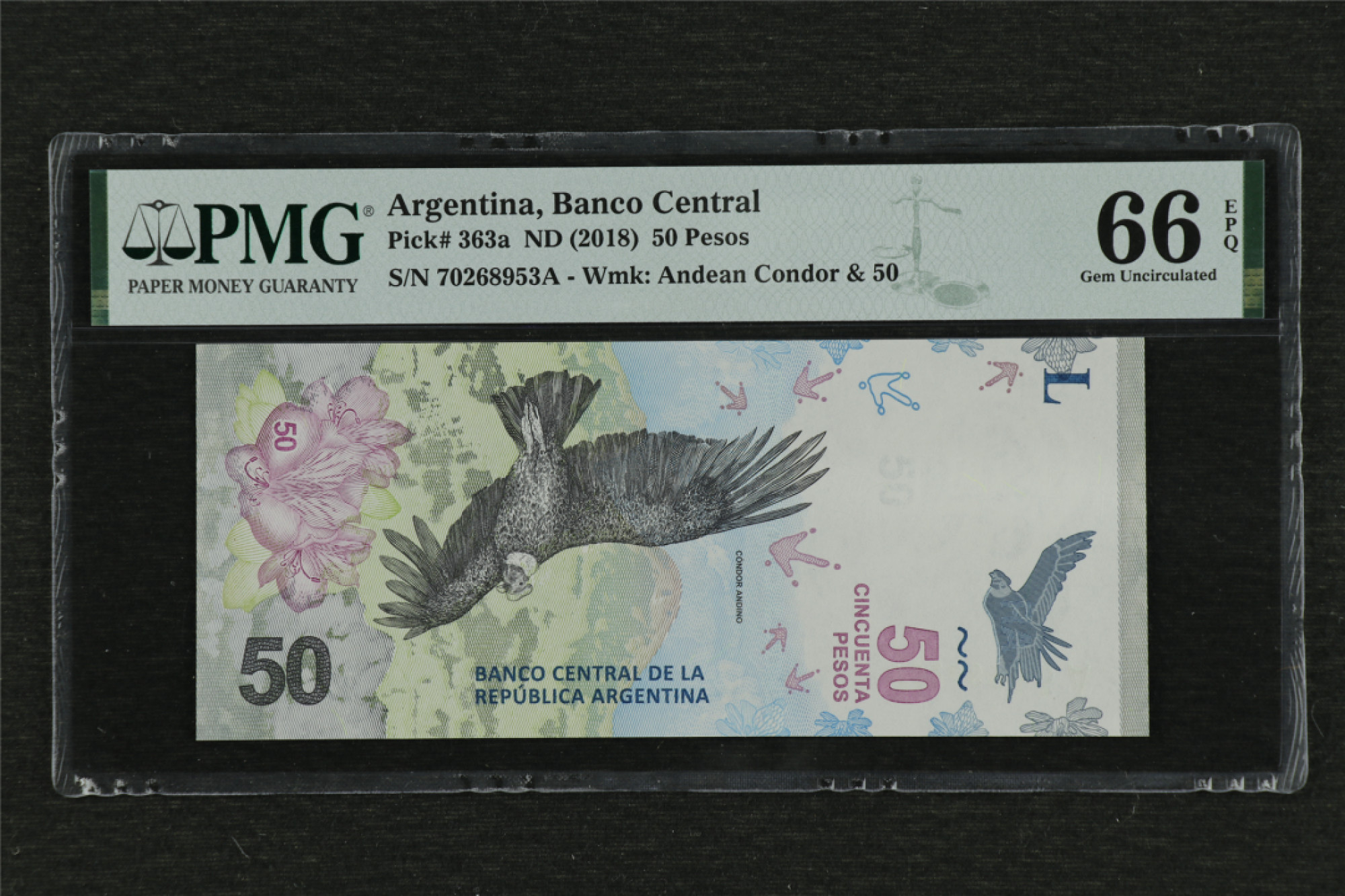 亘邦收藏 第85期（共86项） 2018年 阿根廷 50Pesos 70268953A PMG 66EPQ