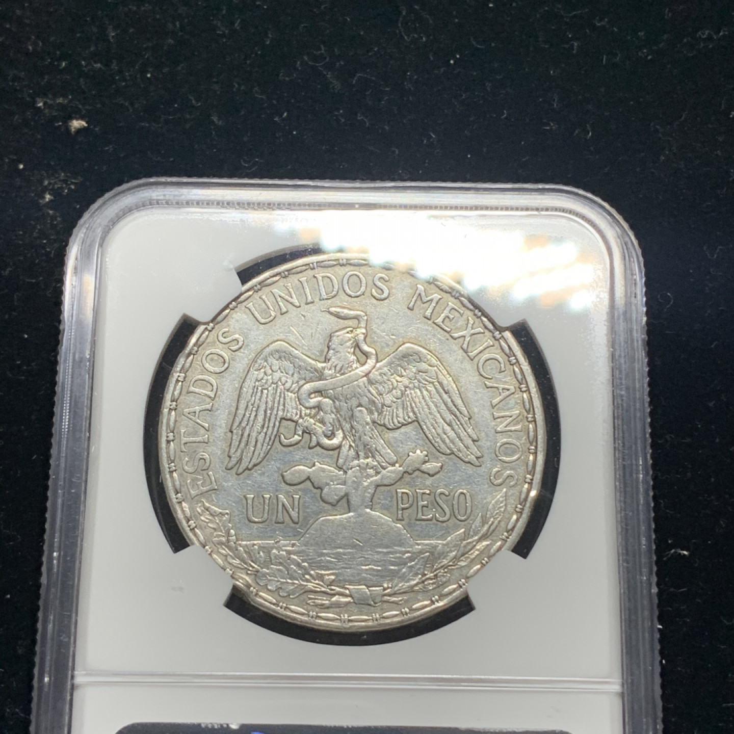 《竞宝斋》钱币微拍-第5场（0佣金包邮） 热门品种 NGC评级 墨西哥 骑马鹰洋 1911年  1比索银币