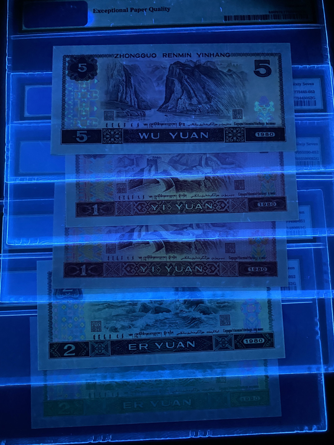 大黄蜂拍卖第21期 绿幽灵，绿钻，金龙王，红金龙，苍松翠鹤，全程无47尾852，67分