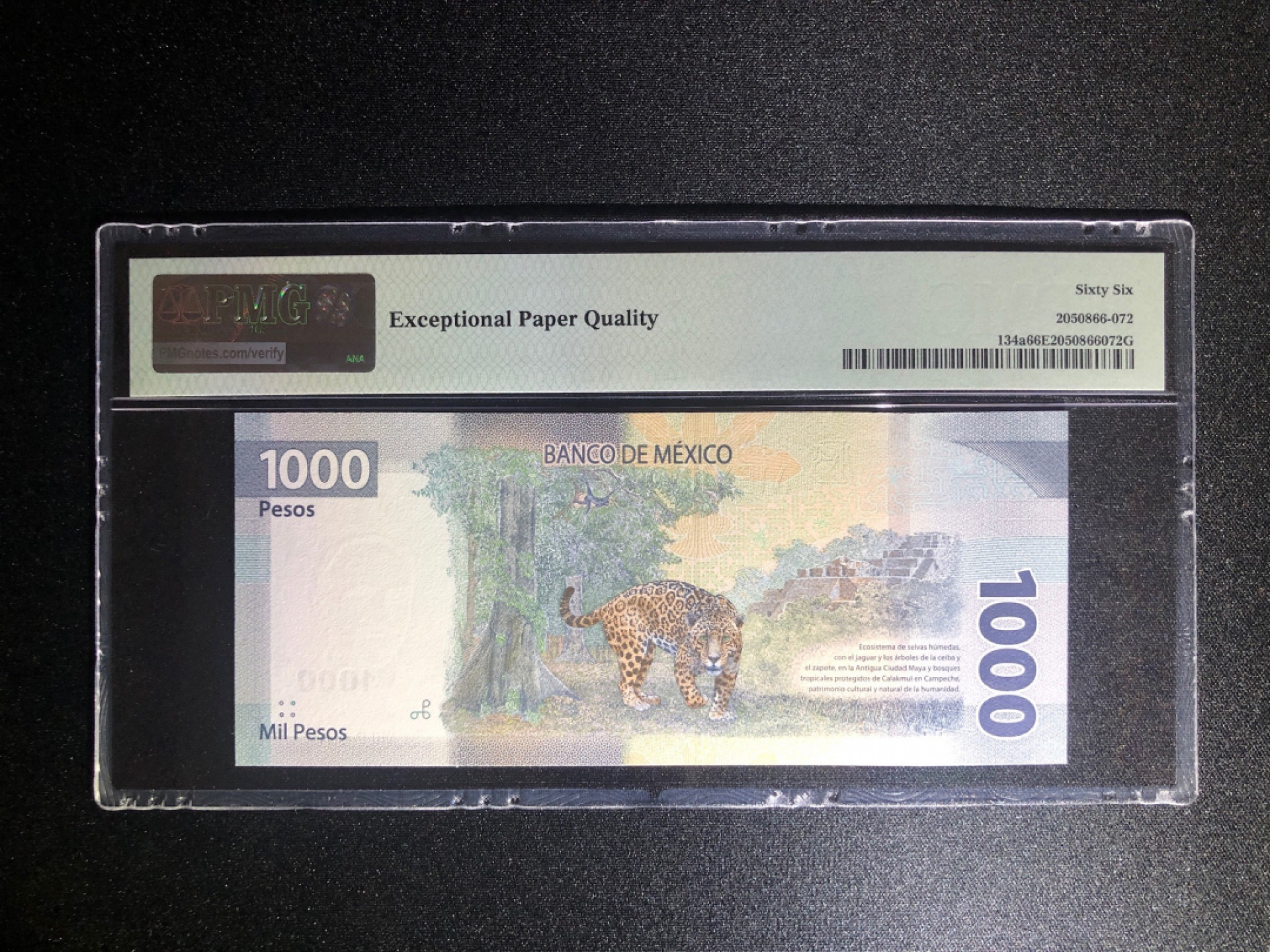 《张总收藏》37期—国庆精品 墨西哥1000比索 PMG66E AA冠无47 2019年
