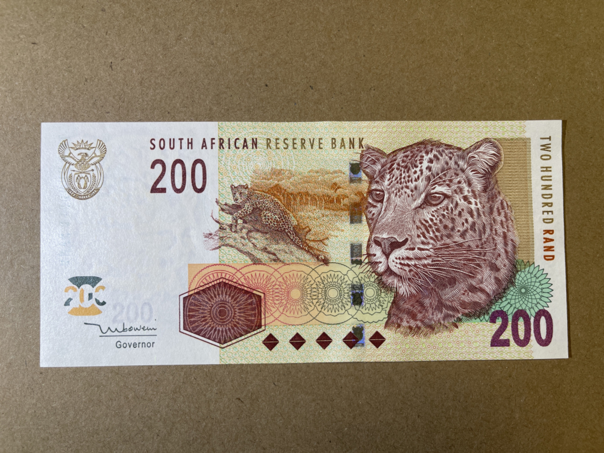 《张总收藏》37期—国庆精品 南非200兰特 UNC 非洲豹 2005年