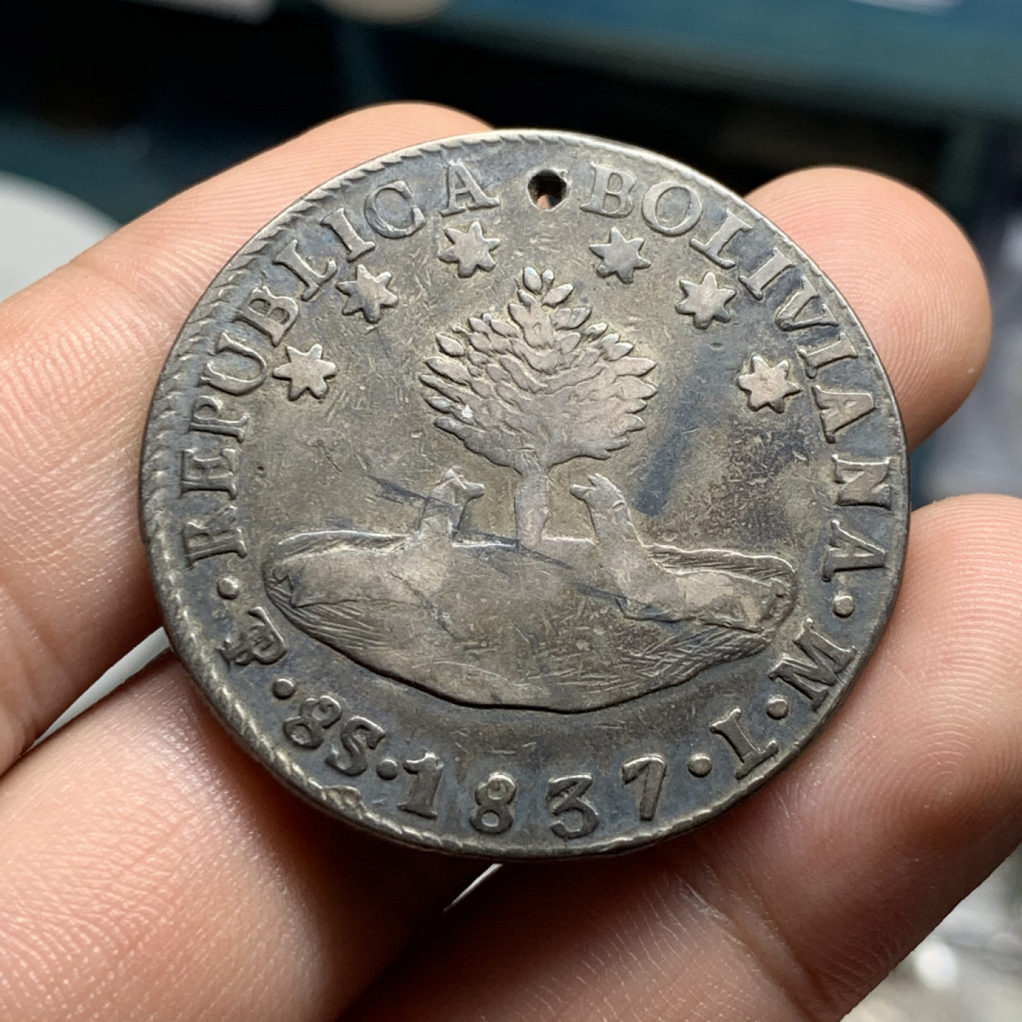 《竞宝斋》钱币微拍-第7场（不限金额顺丰包邮） 打孔 原味 玻利维亚1837年8瑞尔早期大银币 26.7g，38.3mm