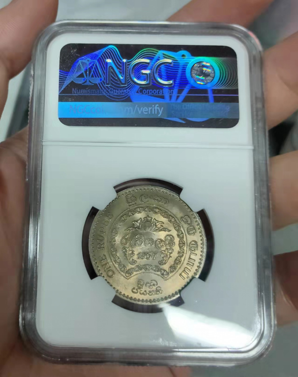 萌新换藏拍卖一 ngc ms65 锡兰2500y纪念镍币