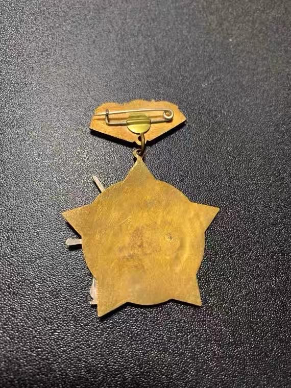 顺兴典藏奖章专拍场 苏联证章，苏联环保局奥尔兹卡证章，铜质珐琅，状态AU