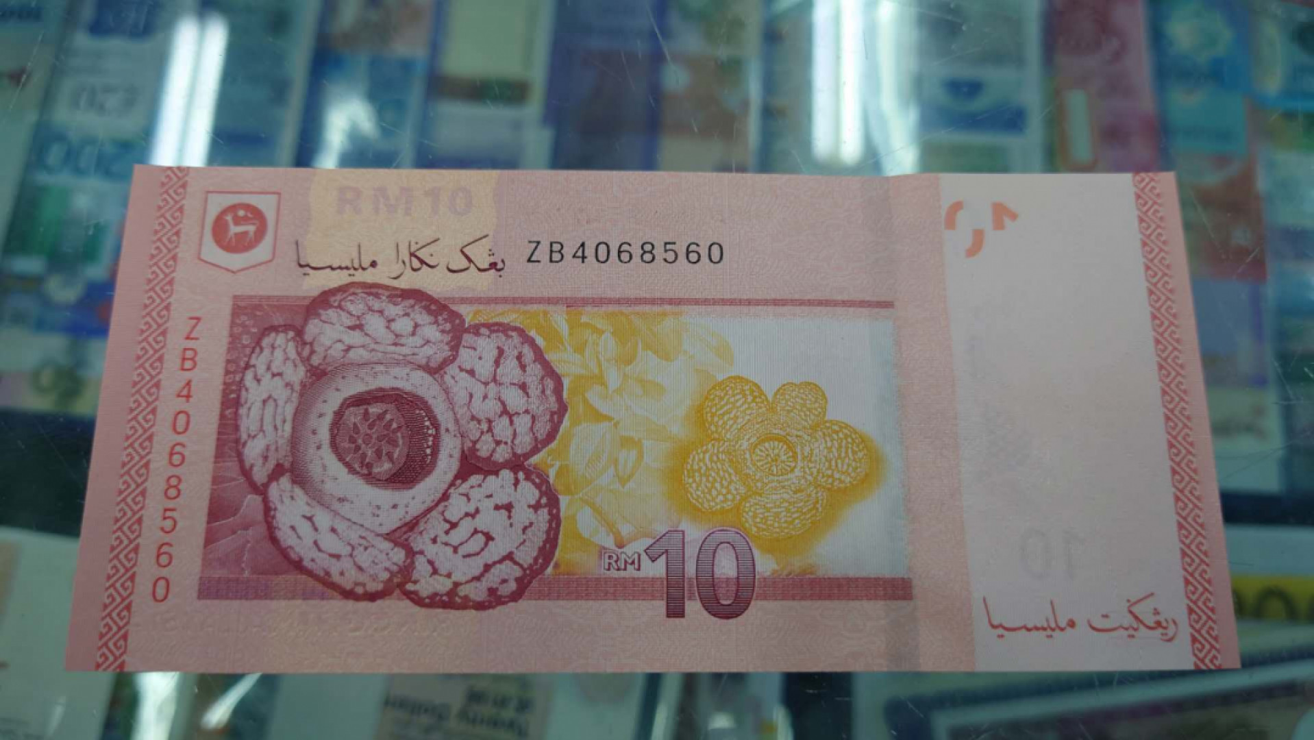 今晚八点半【囧羊收藏】精选微拍第38期暨2021年第二十九期 评级裸钞混合场 马来西亚10元 补号ZB冠 全新UNC