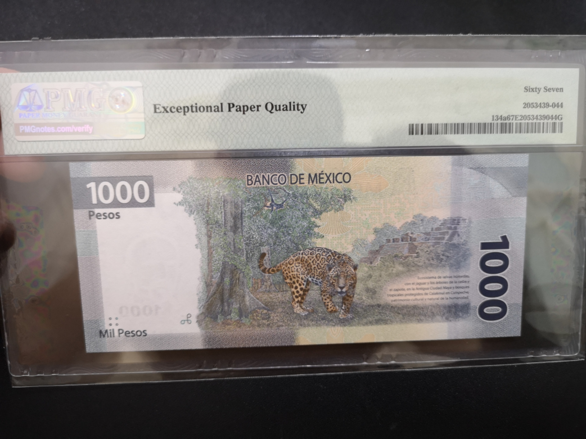 《外钞收藏家》金九银十双拍9号场（总133期）（本期72件） 2019年墨西哥1000 AA冠 PMG67