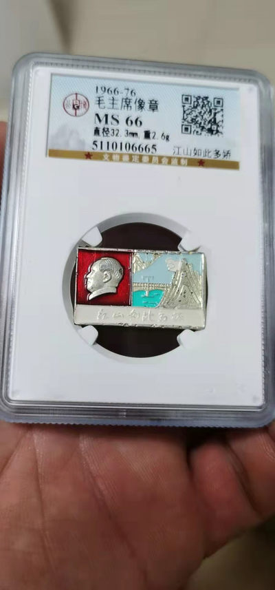 假期最后一天，精品像章大放漏 - 公博评级毛主席像章—江山如此多娇