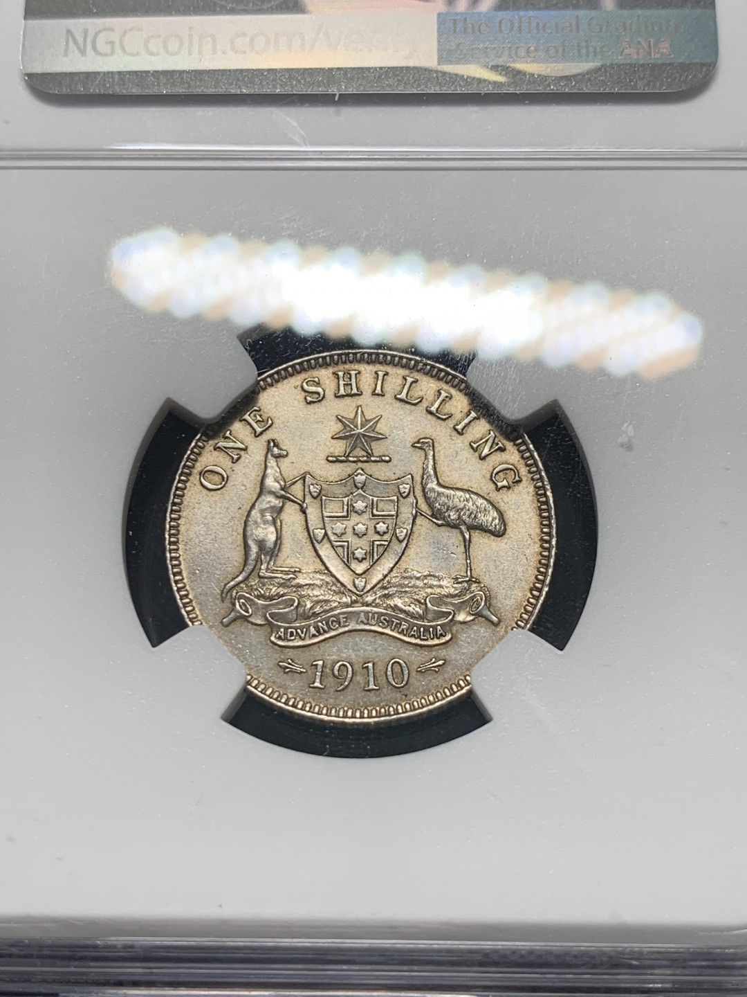 《竞宝斋》钱币微拍-第8场（不限金额顺丰包邮） NGC-MS61 英属澳大利亚1910年爱德华七世1先令 NGC编号：6183874-005