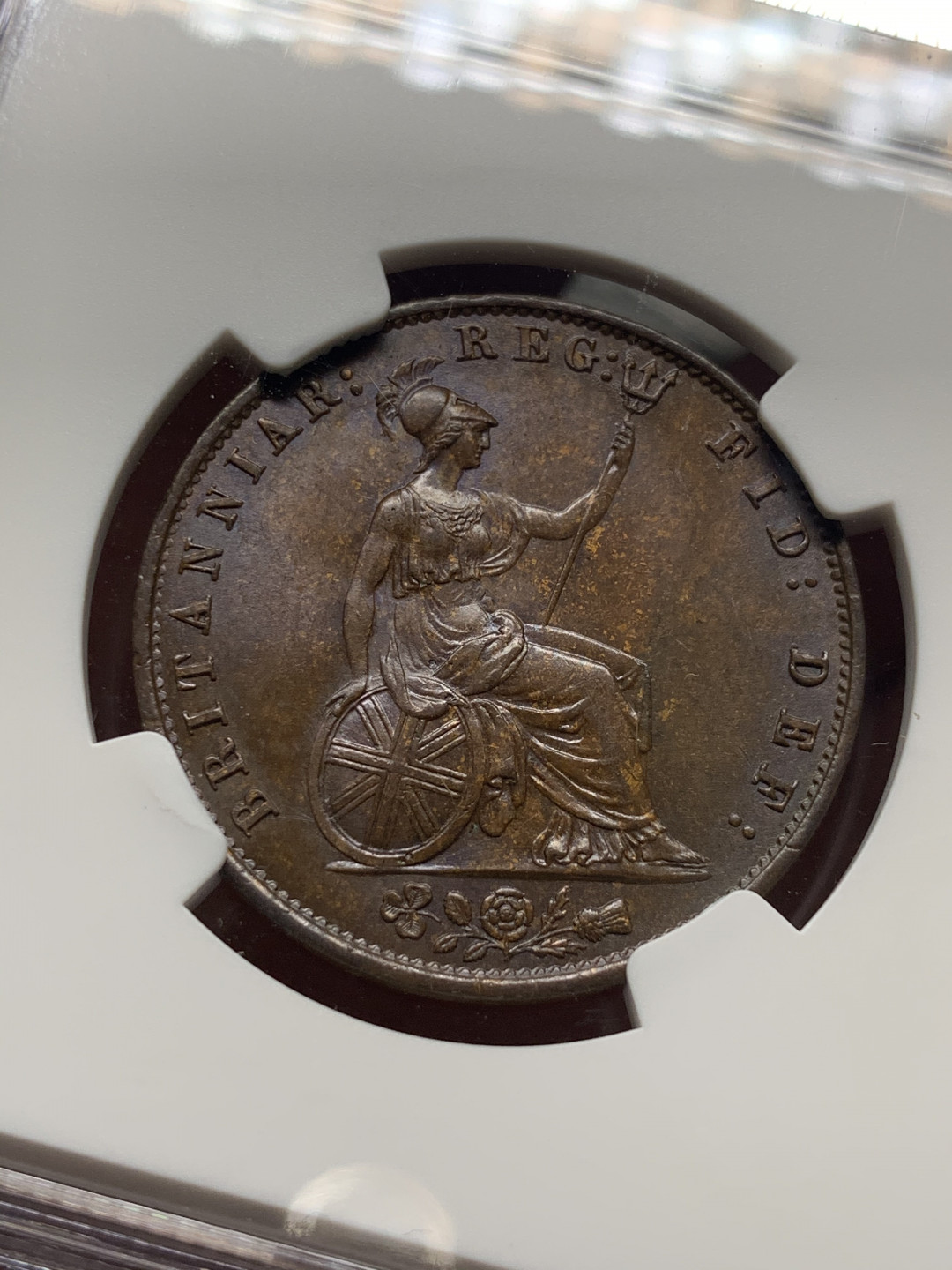 《竞宝斋》钱币微拍-第8场（不限金额顺丰包邮） NGC-MS64BN 英国1855年维多利亚1/2便士 发髻高点聚在，深咖色包浆 可遇不可求！NGC编号：4318531-006 绝美铜色