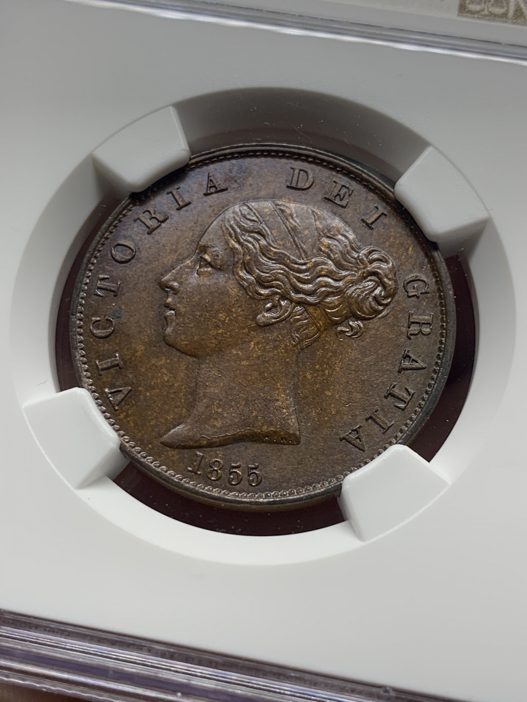 《竞宝斋》钱币微拍-第8场（不限金额顺丰包邮） NGC-MS64BN 英国1855年维多利亚1/2便士 发髻高点聚在，深咖色包浆 可遇不可求！NGC编号：4318531-006 绝美铜色