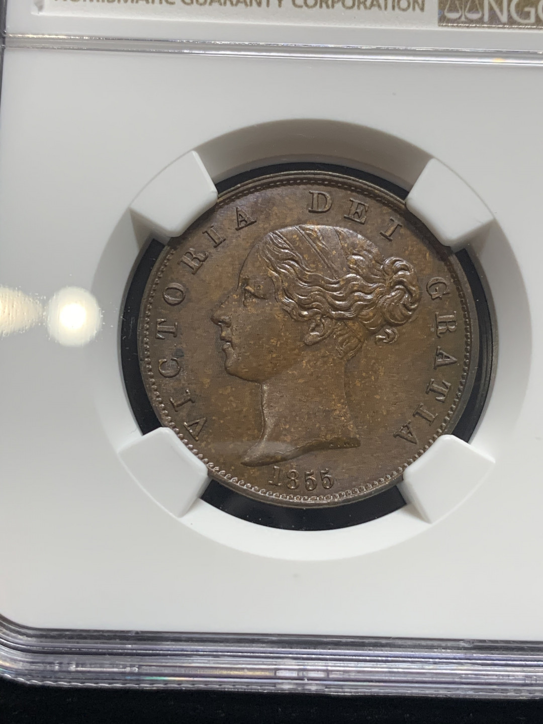 《竞宝斋》钱币微拍-第8场（不限金额顺丰包邮） NGC-MS64BN 英国1855年维多利亚1/2便士 发髻高点聚在，深咖色包浆 可遇不可求！NGC编号：4318531-006 绝美铜色
