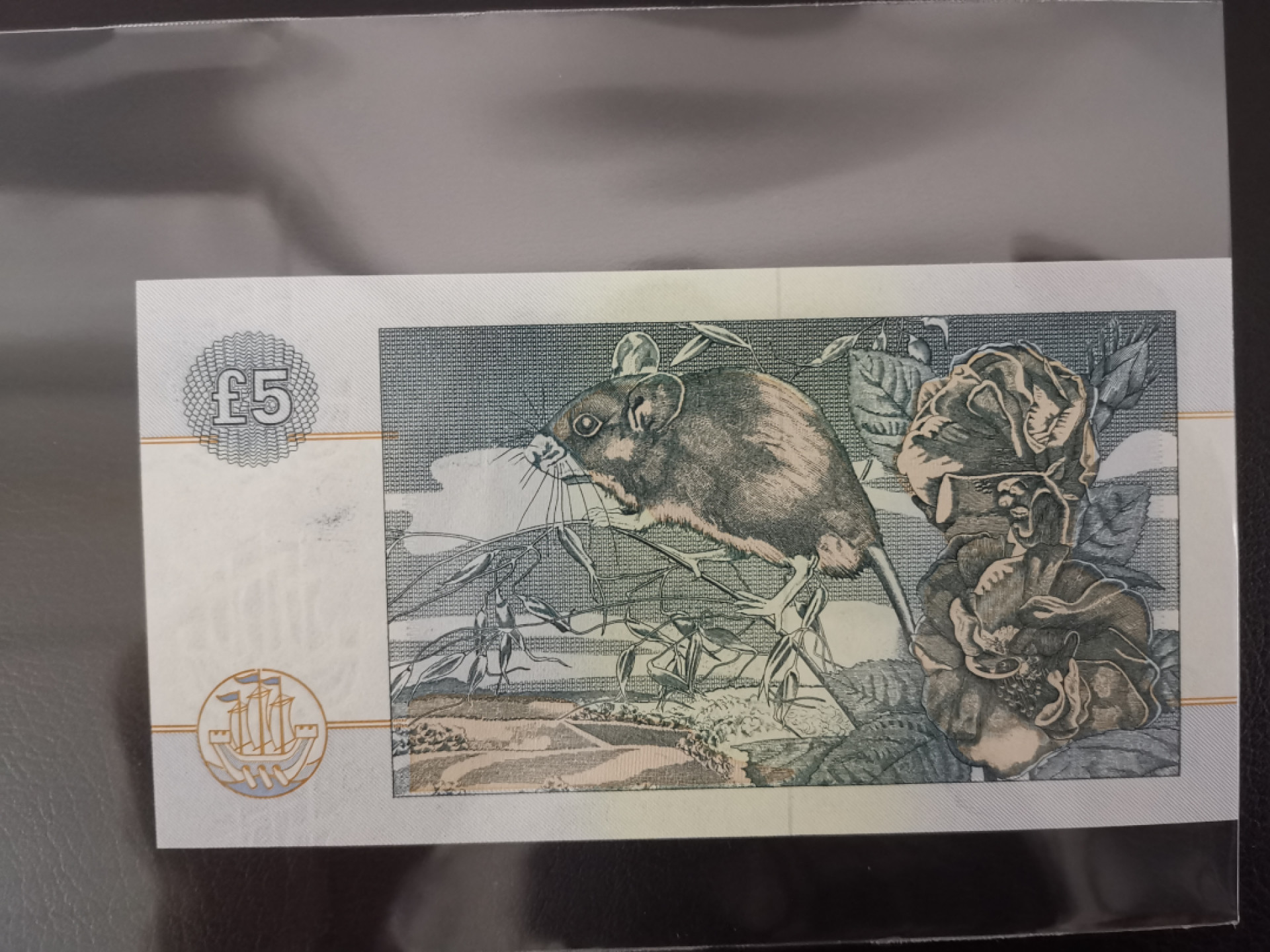 《张总收藏》38期—世界精品 1990版苏格兰戴尔银行5镑UNC早期版
