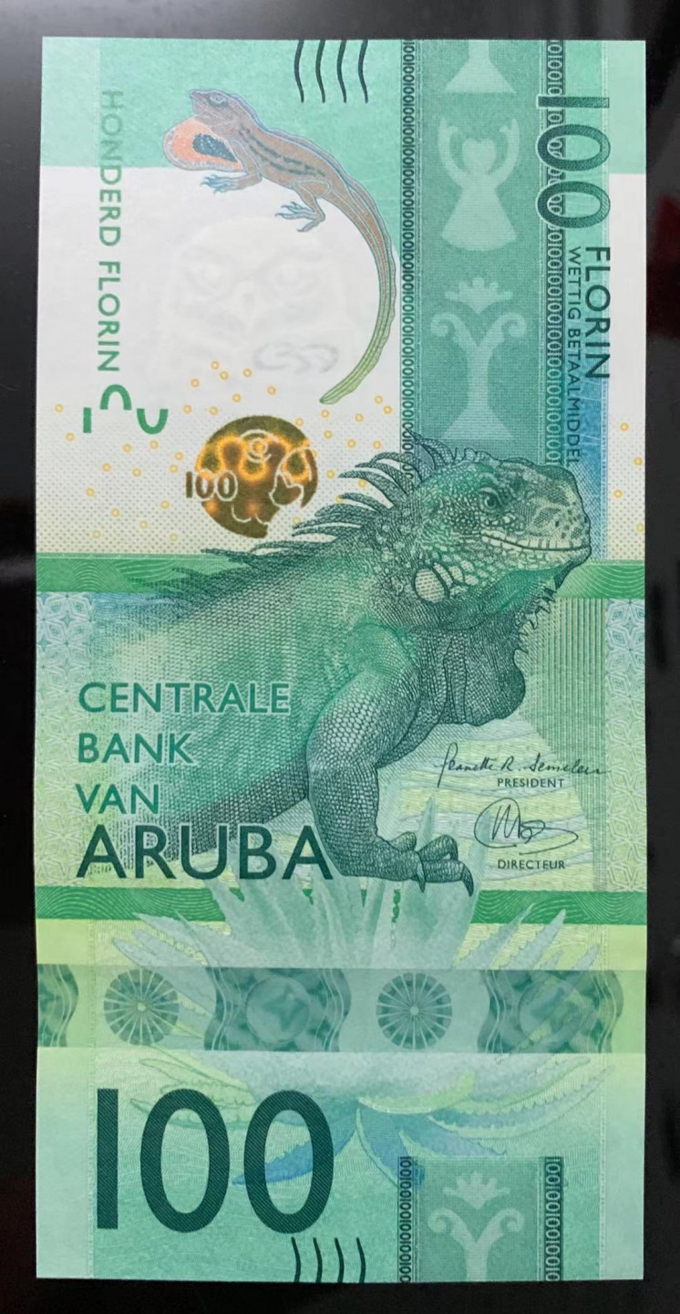 《外钞收藏家》金九银十双拍10号场（总134期）（本期90件） 2019年最新版阿鲁巴100 A冠无47 全新UNC