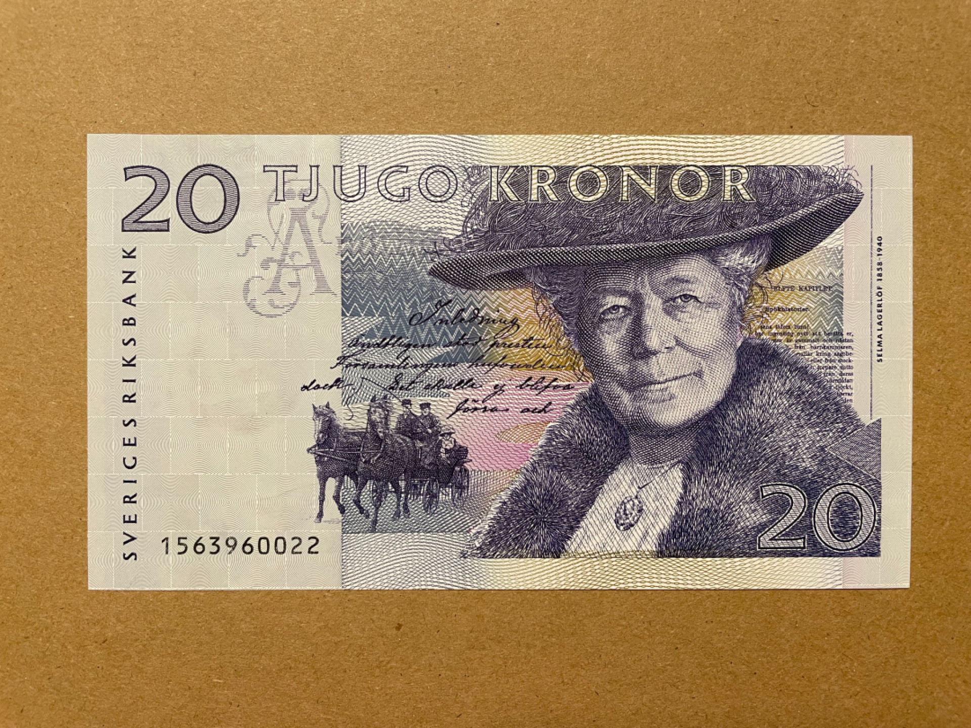 《张总收藏》38期—世界精品 瑞典20克朗 UNC 骑鹅