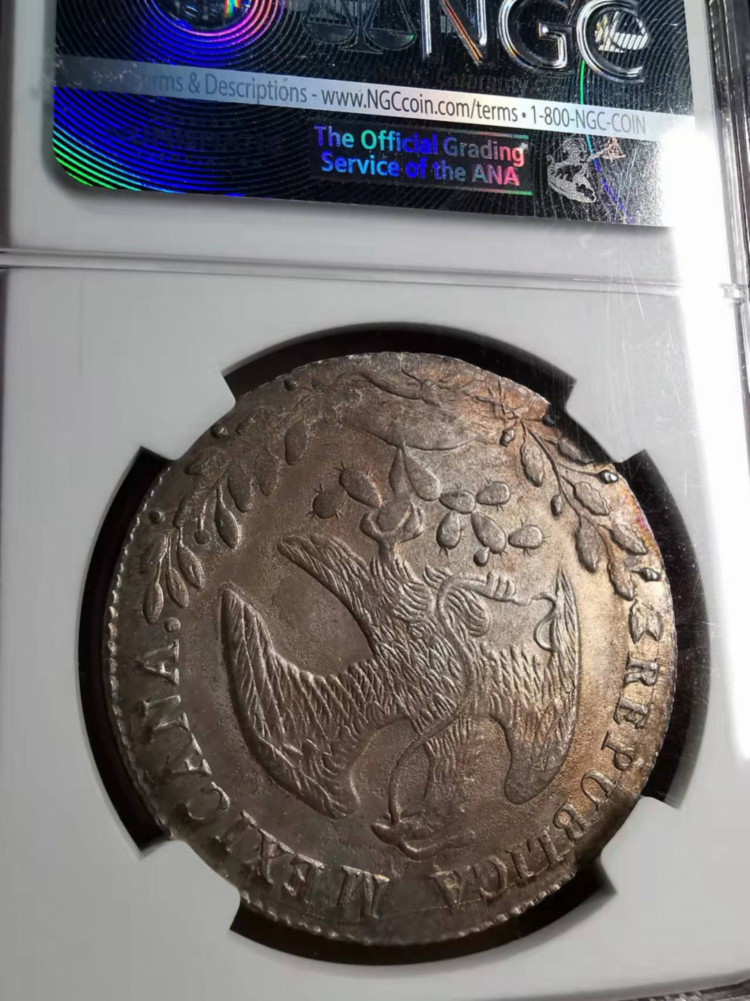 凡希社世界钱币微拍第一百七十三期 荐！1885PI墨西哥花边鹰洋NGC-MS64绝美五彩！