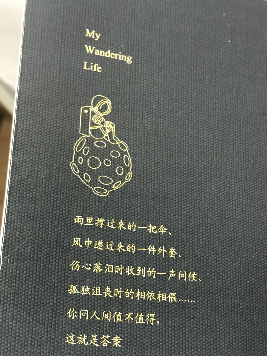 零元拍：段段 亲笔签名著书《我在人间凑数的日子》