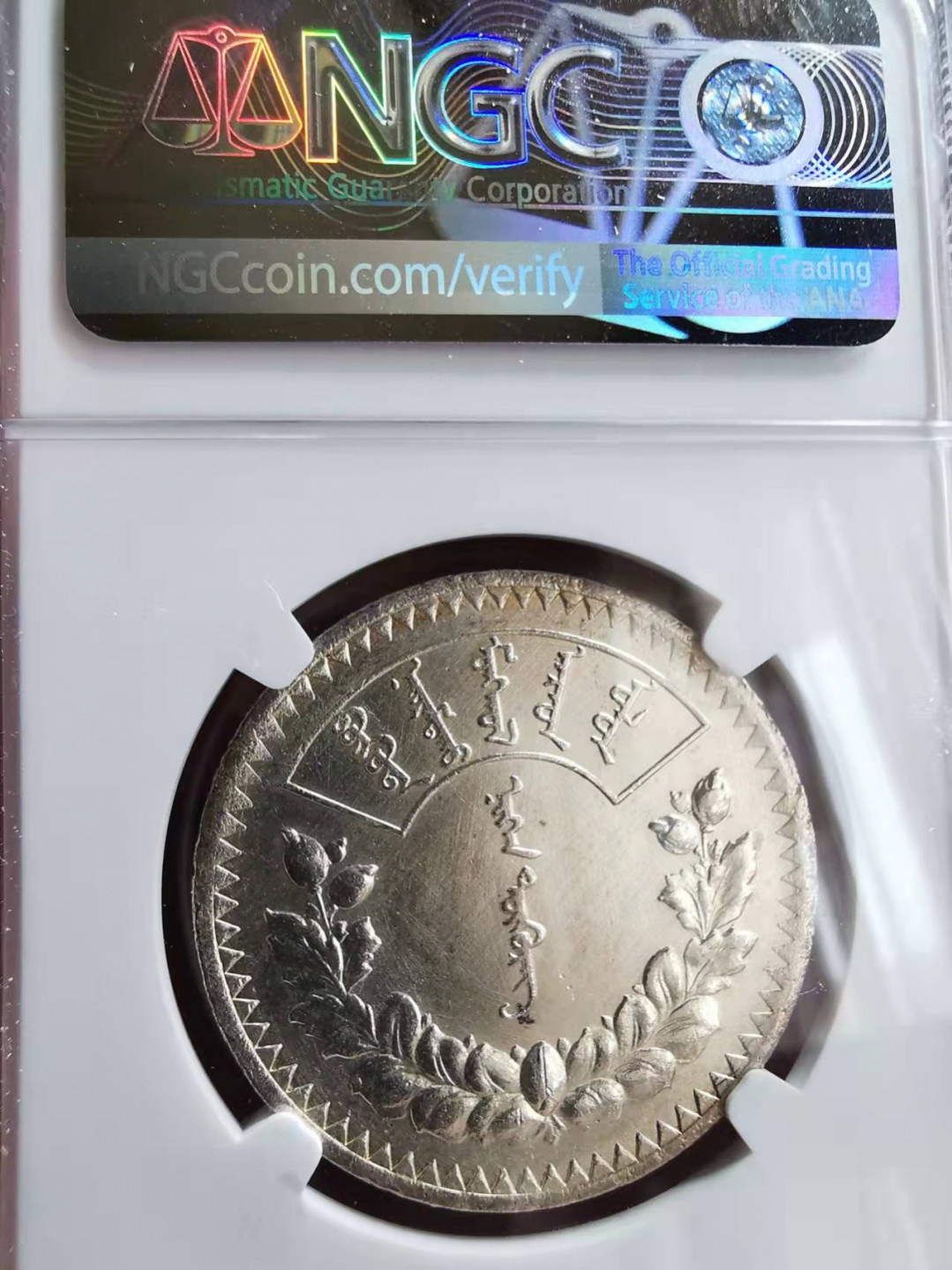 凡希社世界钱币微拍第一百七十三期 1925蒙古图格里克大银NGC-UNCD