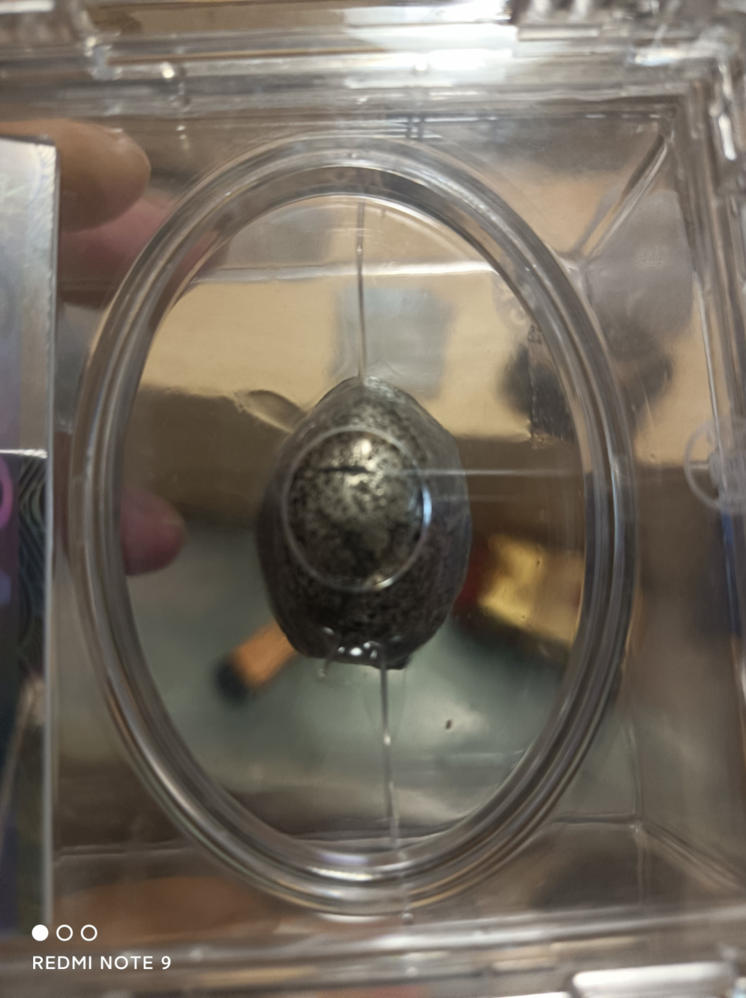 评级银元古钱币 清代银锭