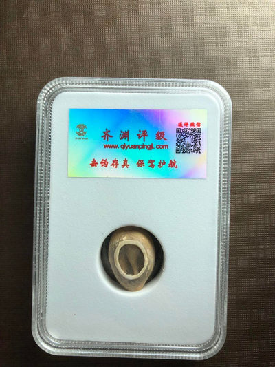 【九阁主】外币、古钱币、玉雕收藏品（第三场） 商周-贝币美80分