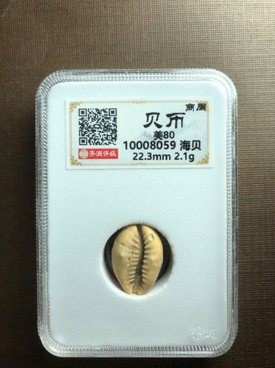 【九阁主】外币、古钱币、玉雕收藏品（第三场） 商周-贝币美80分