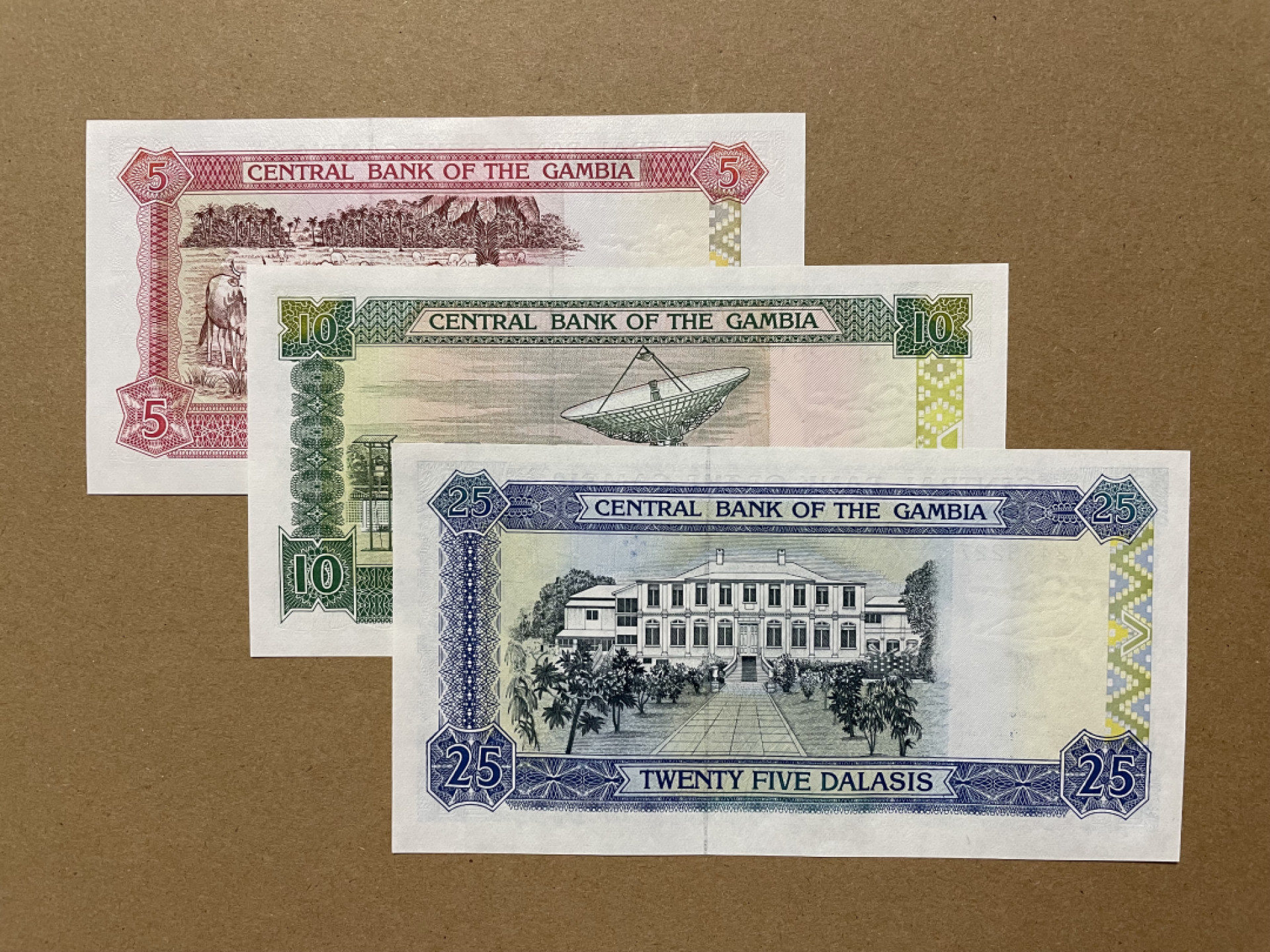 《张总收藏》39期—欧洲精品 冈比亚纸币3张 鸟版 UNC 