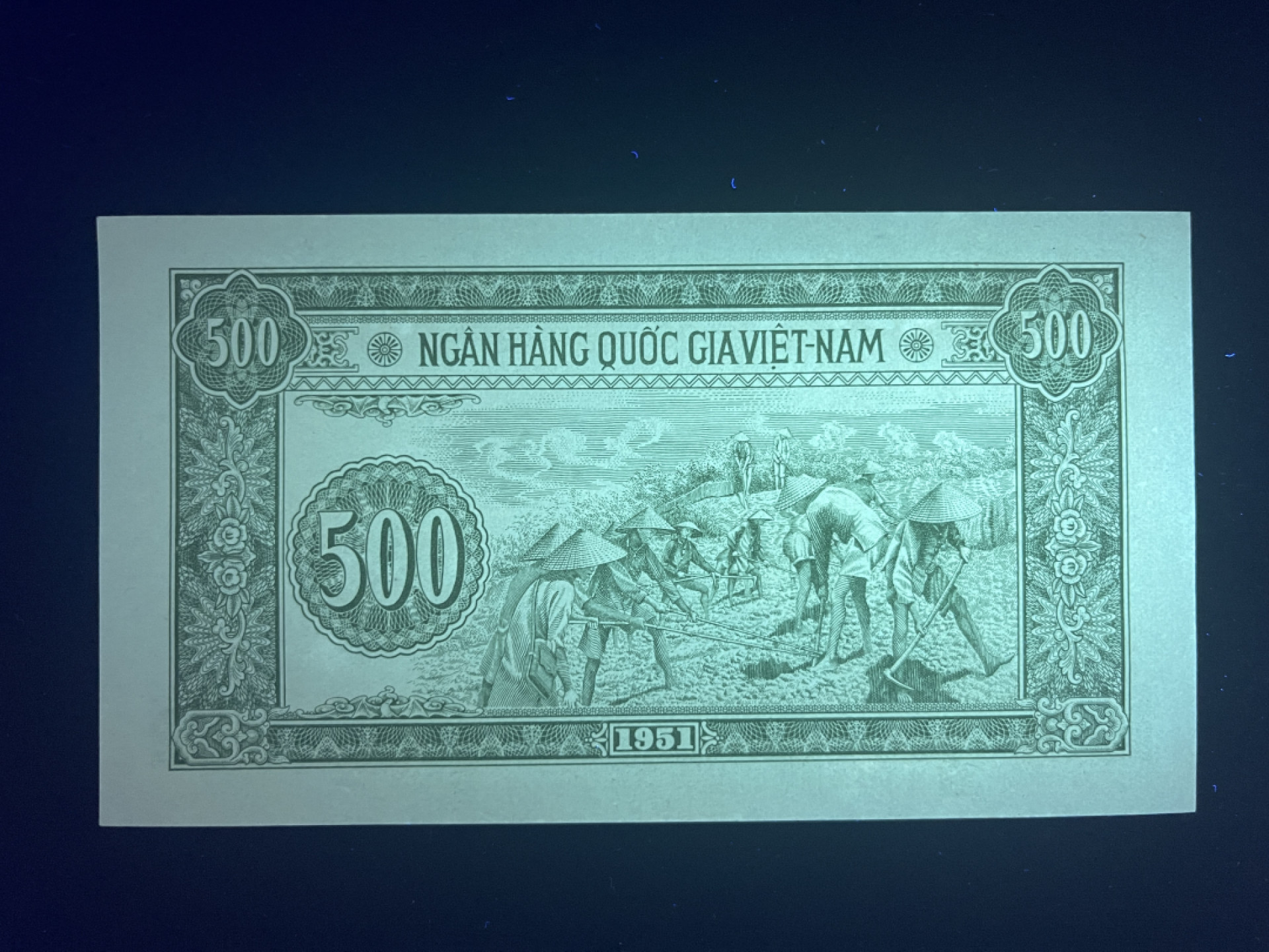 《张总收藏》39期—欧洲精品 北越1957年 UNC 1951年 胡志明 老版本