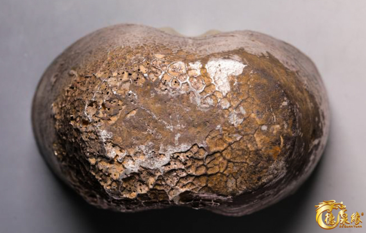 海南德泉缘2021秋季钱币拍卖会 清-祁县翟镜嘉庆年月银锭一枚   华夏评级 完全UNC 编号：988384 重量：1855g，包浆厚实老气，蜂窝明显