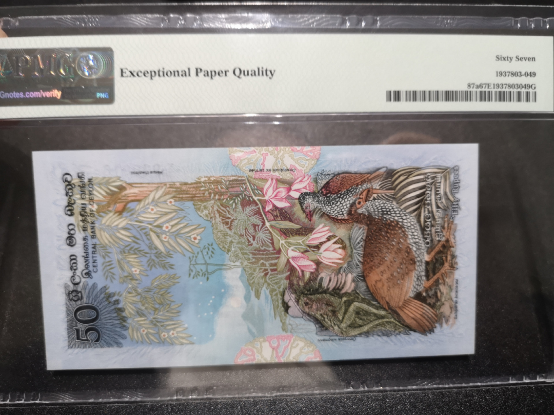 《外钞收藏家》第一百三十八期拍卖（本期91件） 1979年斯里兰卡50卢比 PMG67