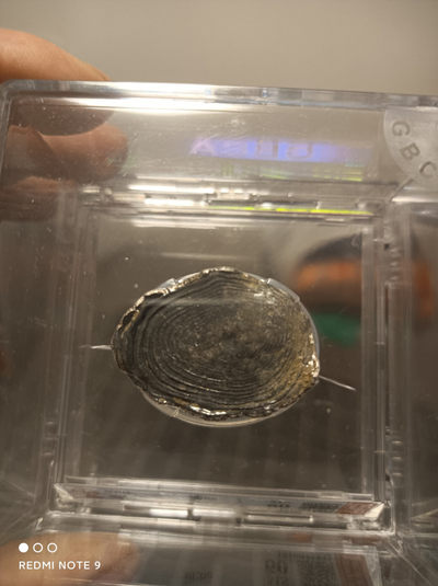 天海钱币公博评级专场 - 明清银锭