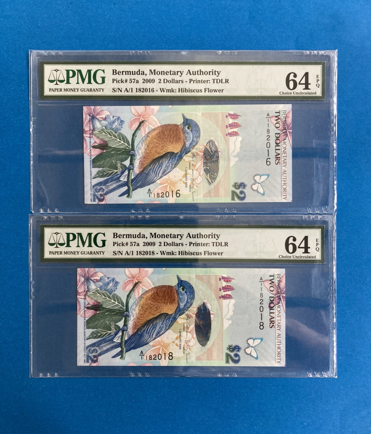 【华誉王者】1814期拍卖 鸟钞两枚 无3457 PMG64E A/1182016/8