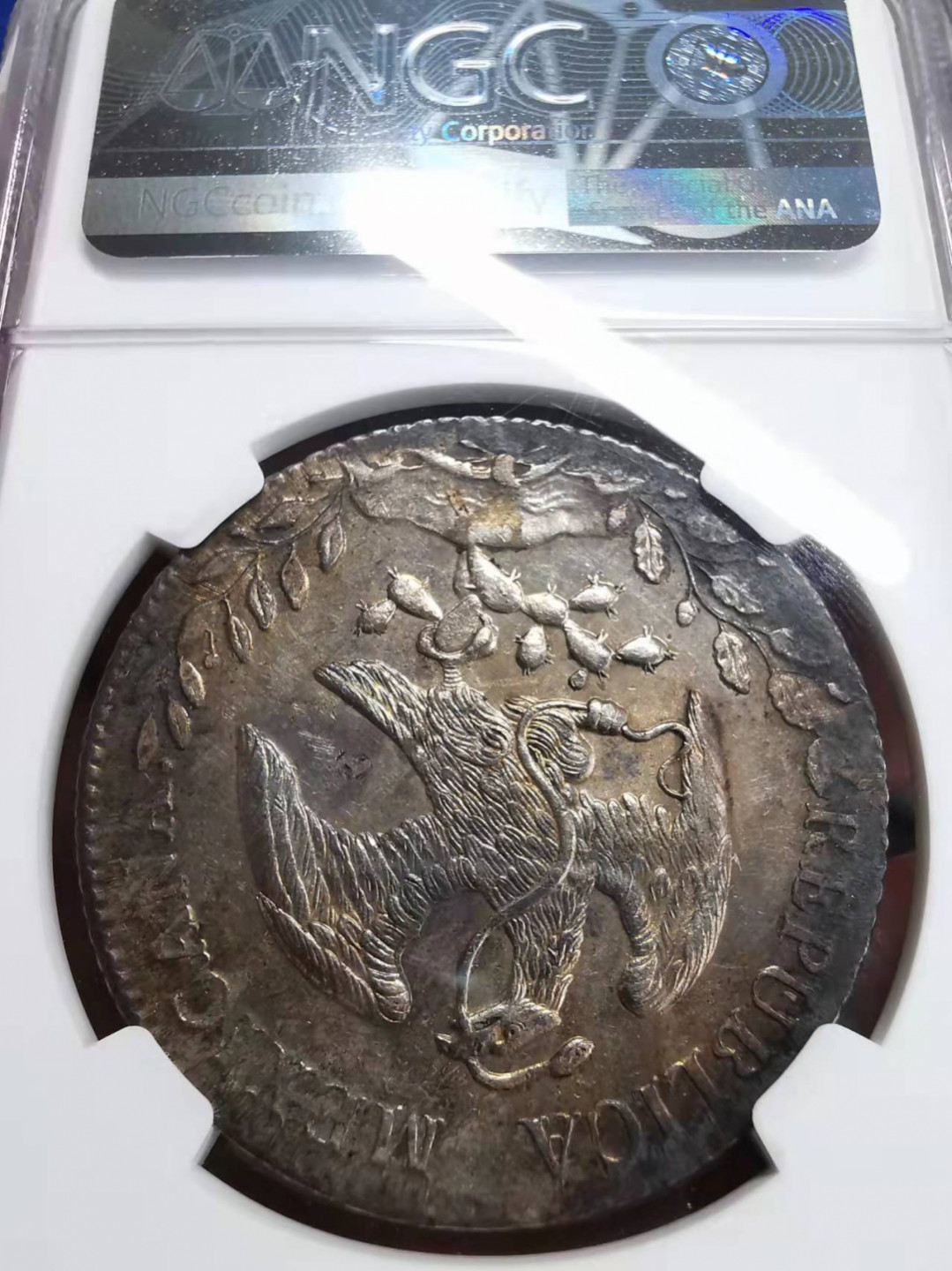 凡希社世界钱币微拍第一百七十五期 1894CA墨西哥花边鹰洋NGC-UMCD